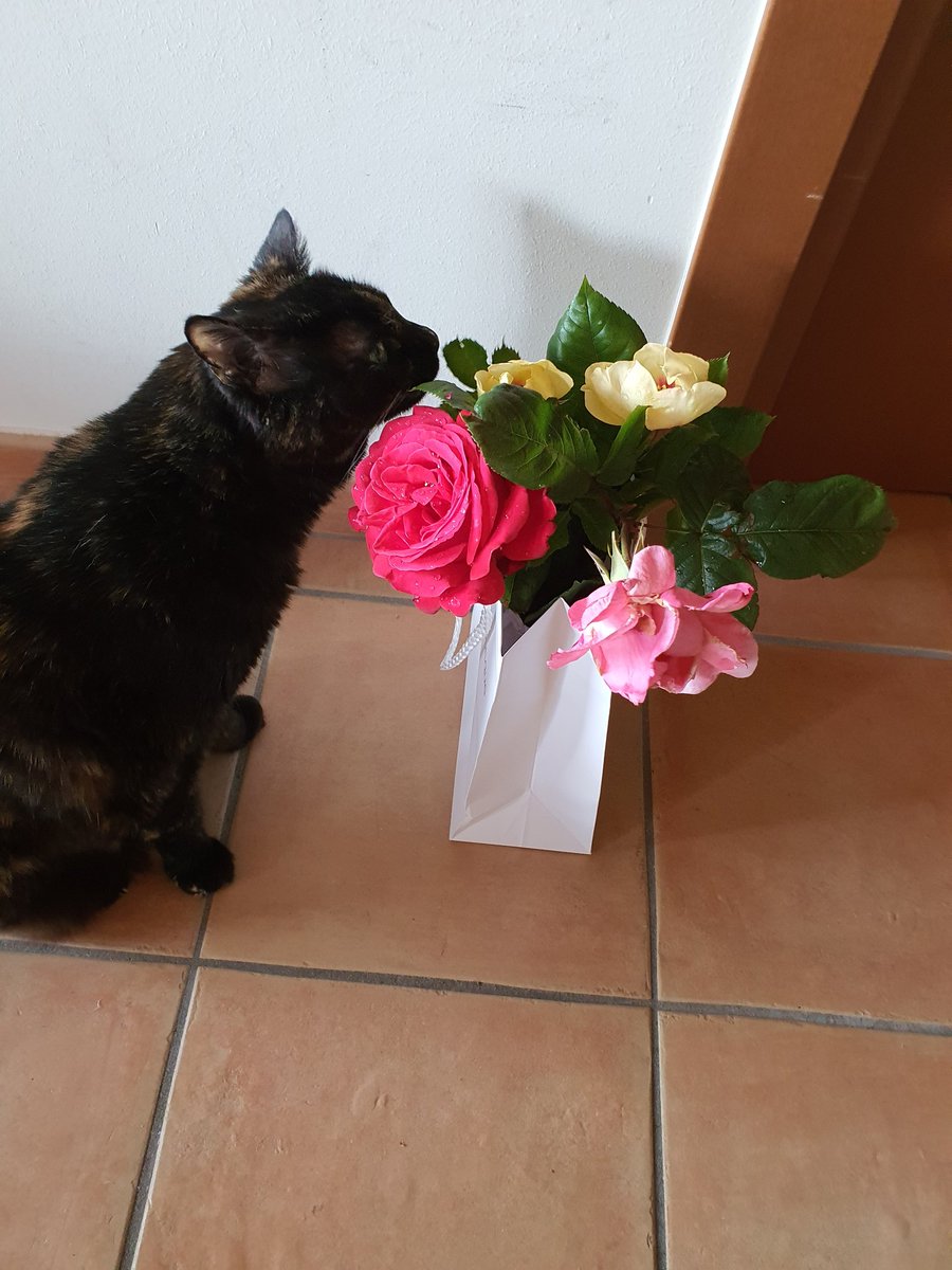 Kerin O'Keefe tweet media