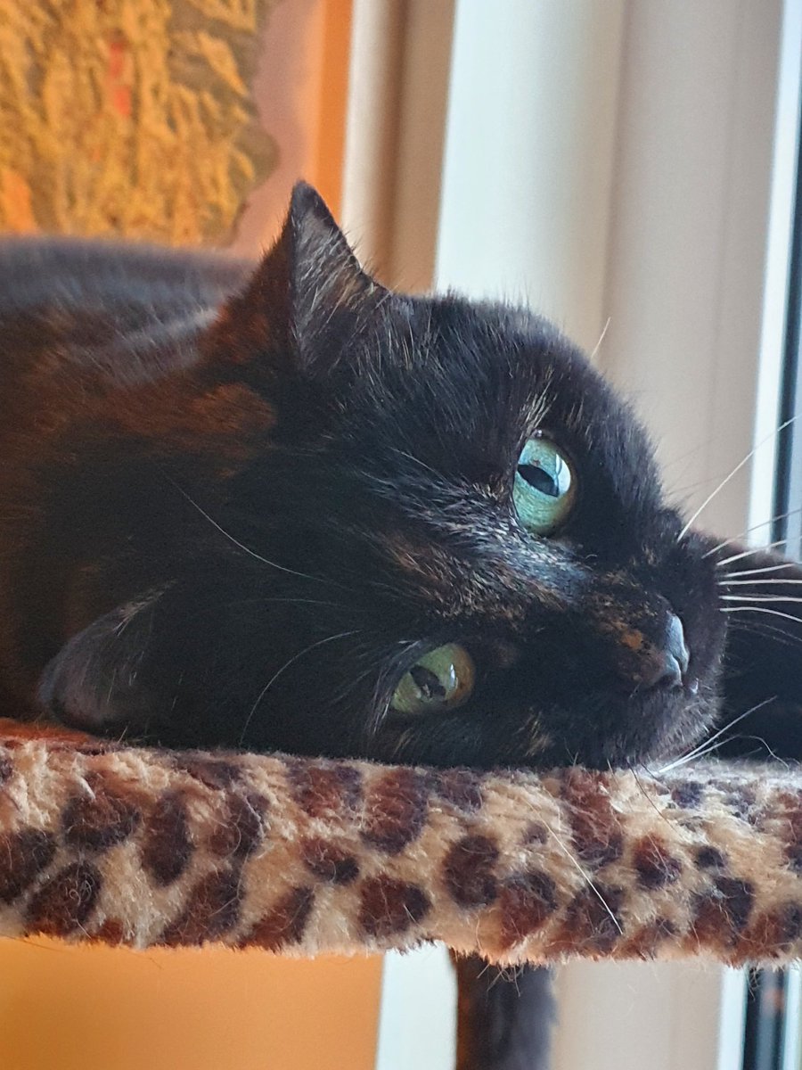 <a href="/LePotazzine/">Tenuta Le Potazzine</a> 2004 #Brunello, from our cellar, is one of the greatest wines I've ever had. Joining the likes of #BiondiSanti, #Costanti, #LeChiuse &amp; <a href="/IlMarroneto/">Il Marroneto</a>, it's fragrant, elegant, delicious &amp; loaded with depth. It's gorgeous. Taut, smooth, complex, still youthful &amp; precise.