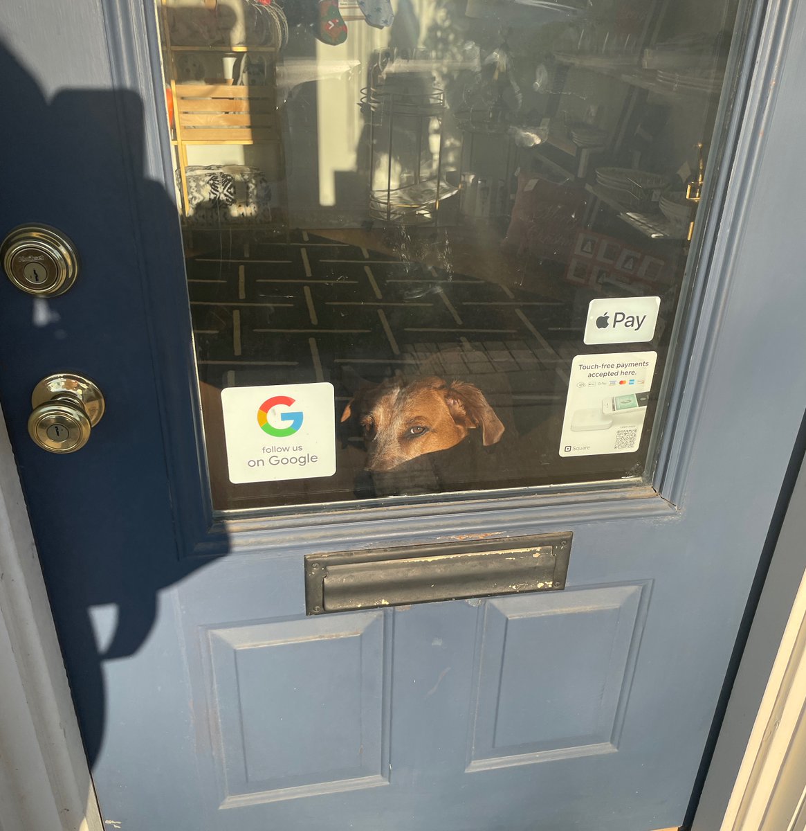 French75B's tweet photo. Remmy helped Loretta open the shop today! He says there are still wonderful items in-store to help you cross off those last-minute gifts. #french75boutique https://t.co/cZau9sFV5o