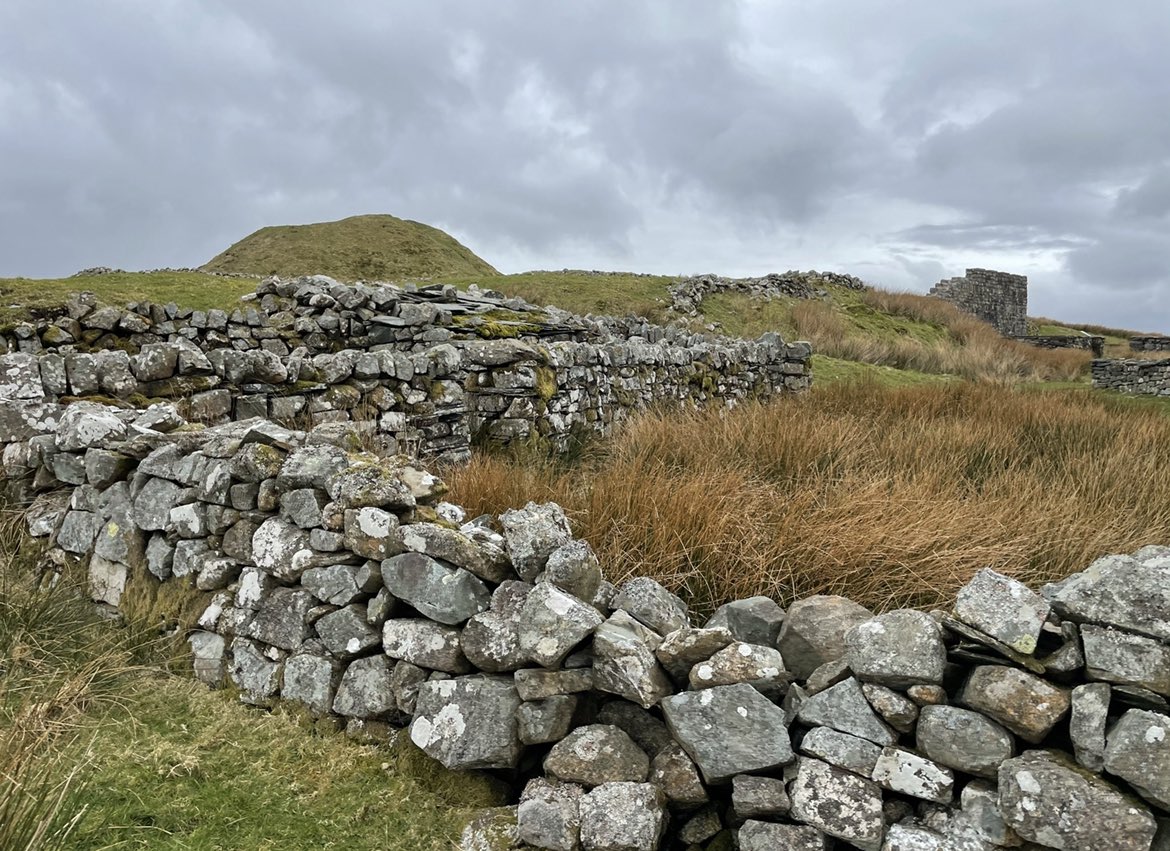 archae_delle's tweet photo. If you’re wondering about that big lump in the background, that’s a Norman (11th century AD) motte. It was built into the existing Roman fort. It’s thought to be the site of Lleu Llaw Gyffes’ home in the Mabinogion 🏴󠁧󠁢󠁷󠁬󠁳󠁿 https://t.co/EQUZJVT07q
