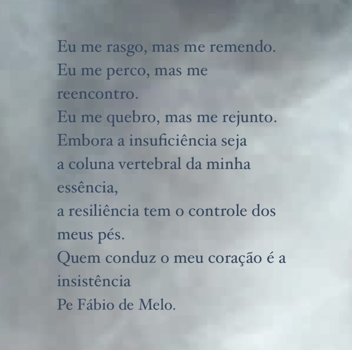 padrefabiodemelo tweet media