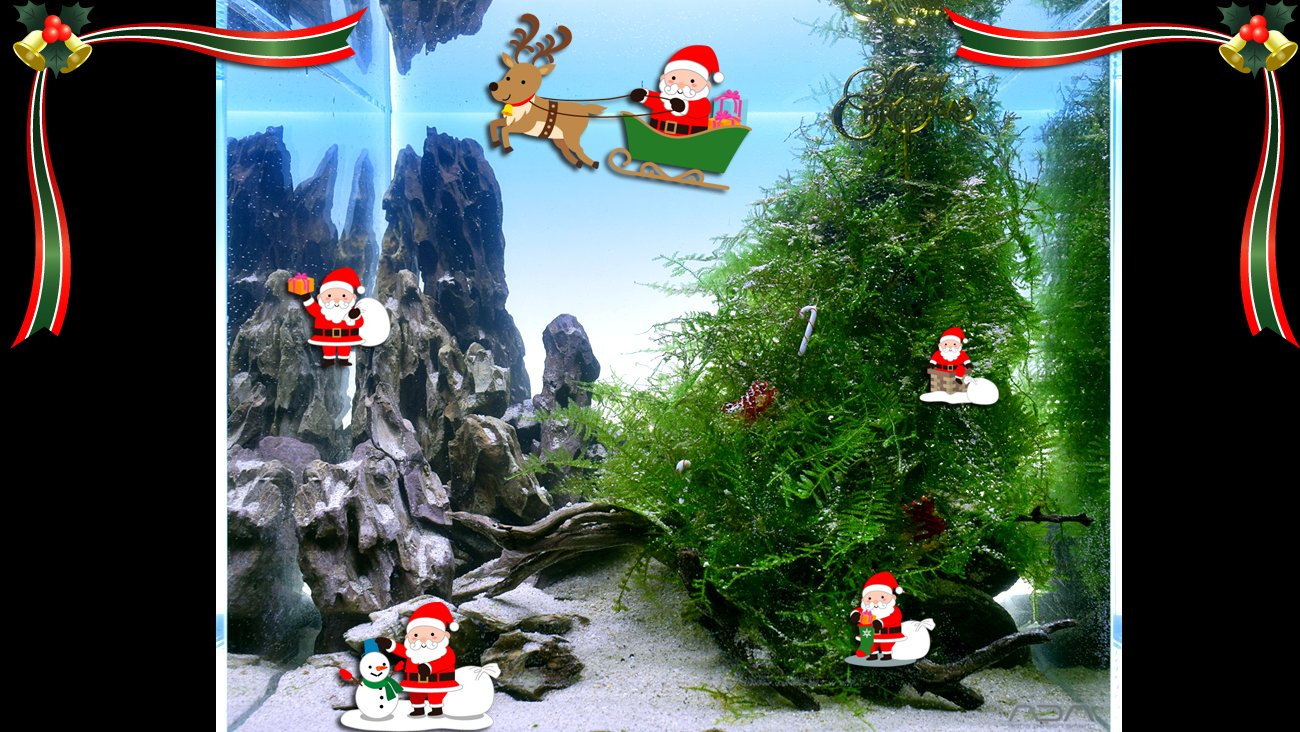 しゅやさん Merry Christmas 皆様 素敵なクリスマスイブを メリークリスマス クリスマスイブ クリスマス モスツリー ウィローモス アクアリウム 水草 水草水槽 水槽 T Co Exfkljnml1 Twitter