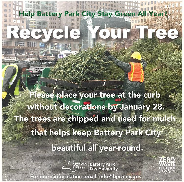 bpca_ny's tweet photo. FEELING CHIPPER! Participate in #BatteryParkCity's annual tree recycling program by placing your unadorned Christmas tree curbside through Friday, January 28. Thank you for helping keep #BPCBeautiful! https://t.co/fYn7d3Zgee @GPTA_BPC @BPCNA_official @CommunityBoard1 @TribecaTrib https://t.co/o5DjCeSfHy