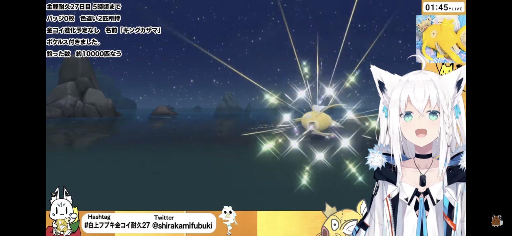 たけのこ 起きて動画観てたら飛び起きた 白上フブキさんおめでとうございます ポケモン最高 白上フブキ金コイ耐久27 ポケモンbdsp ダイパリメイク T Co Bzyhzbt12f Twitter