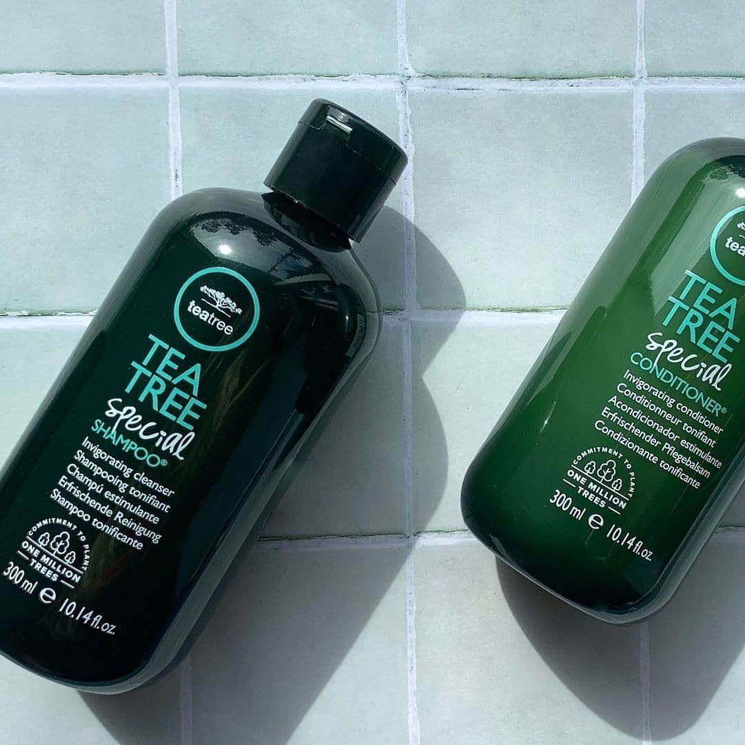 PaulMitchellUS's tweet photo. Prevent moisture loss while invigorating your hair and scalp with #TeaTreeSpecial Shampoo & Conditioner I @hair2goaus (IG) 🌿 https://t.co/Gq4C5ythUe