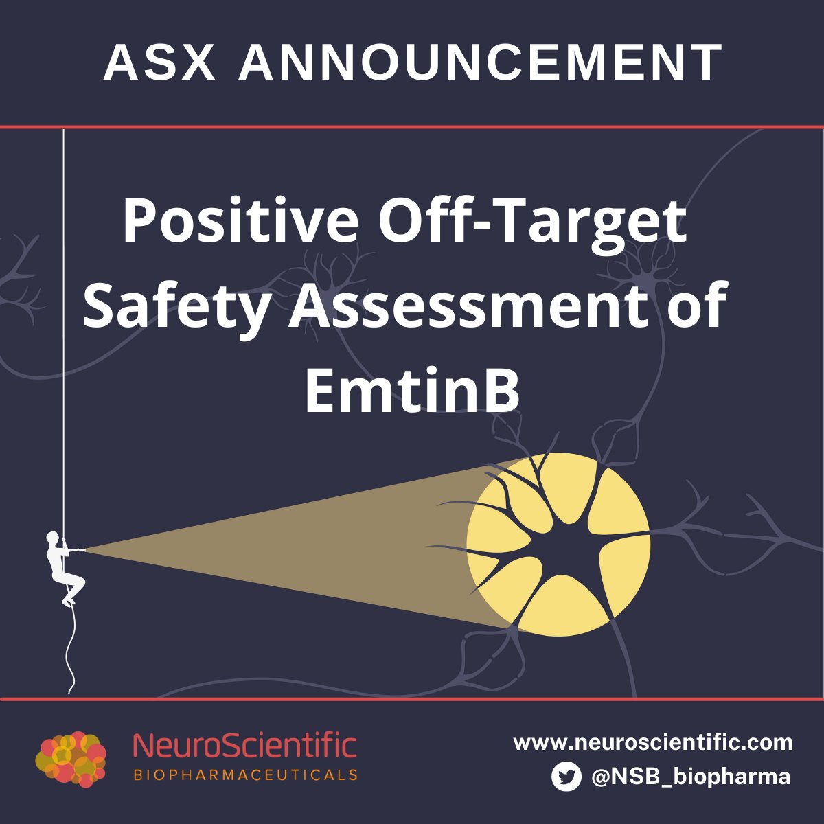 NSB_biopharma's tweet photo. $NSB has taken another step toward Phase I studies for lead peptide #EmtinB by confirming:

✅ the drug did not interact with any known targets known to cause adverse reactions or toxicities in humans

🔬🧪

ASX 🔗: https://t.co/LvriWnPXid https://t.co/LellJu2iJs