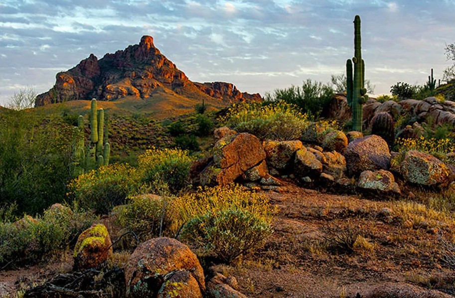 Colossal Images (@Colossal_Images) | Twitter