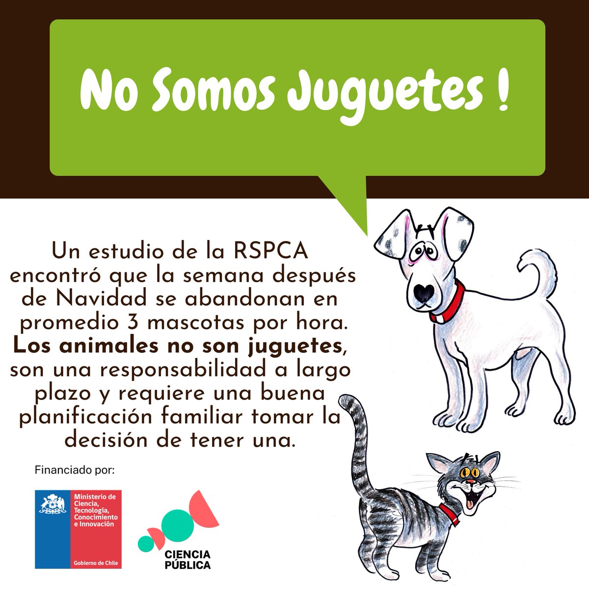 g_animales's tweet photo. No regales animales esta navidad #NoSonJuguetes https://t.co/A5MF7koBlq
