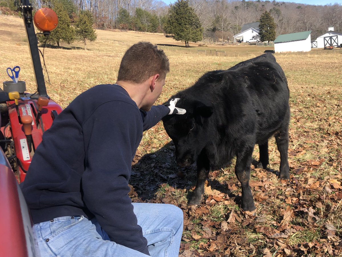 DarylChandler's tweet image. Great day of working on the farm! Cleaning the mountain side is coming along well!