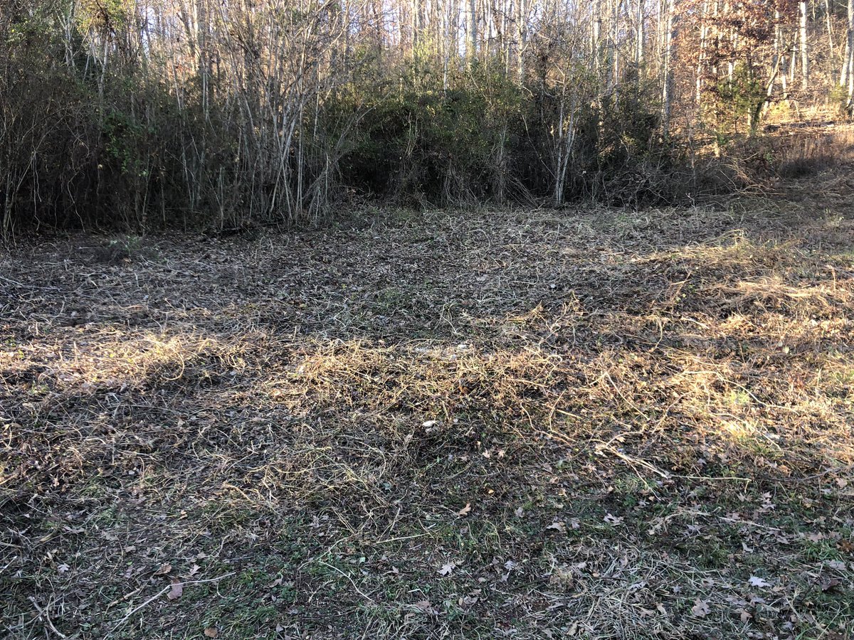 DarylChandler's tweet image. Great day of working on the farm! Cleaning the mountain side is coming along well!