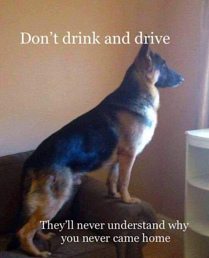 Dalton3252016's tweet photo. Please stay safe during this holiday season. We need you all to get where you’re going and come home safely. #ChristmasEveEve #StaySafe https://t.co/5fSZN8GD0v