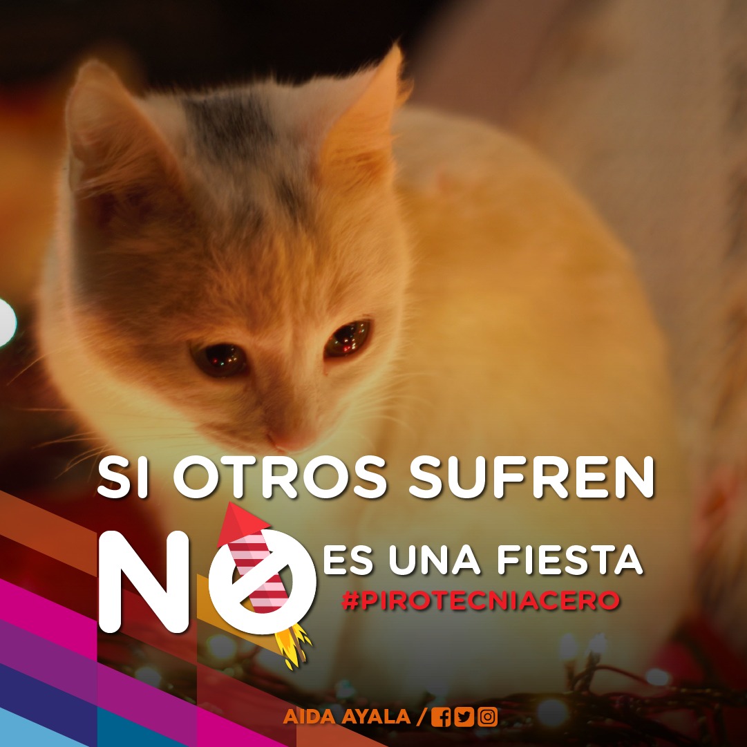 Entre todos podemos lograr que las fiestas sean con #PirotecniaCero 🙌🏽