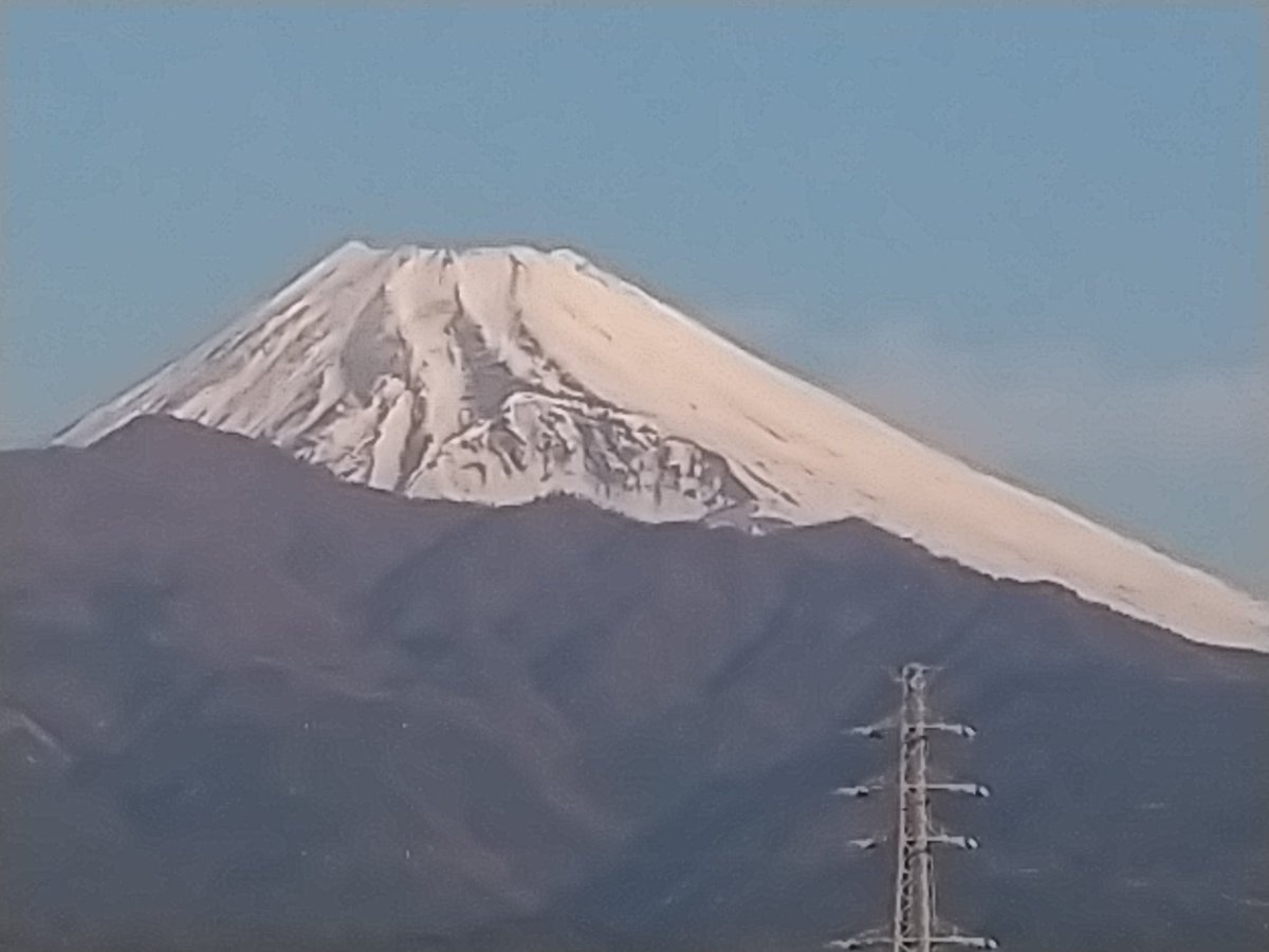 おはよう御座います！ 良いお天気のクリスマスイブです！ 美味しい物食べて、大笑いして免疫力上げてください！ コロナに負けない年末年始を！