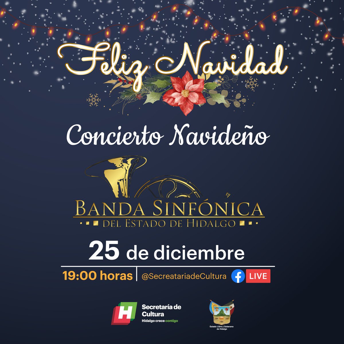 EloisaVeltran's tweet image. #NavidadHidalgo