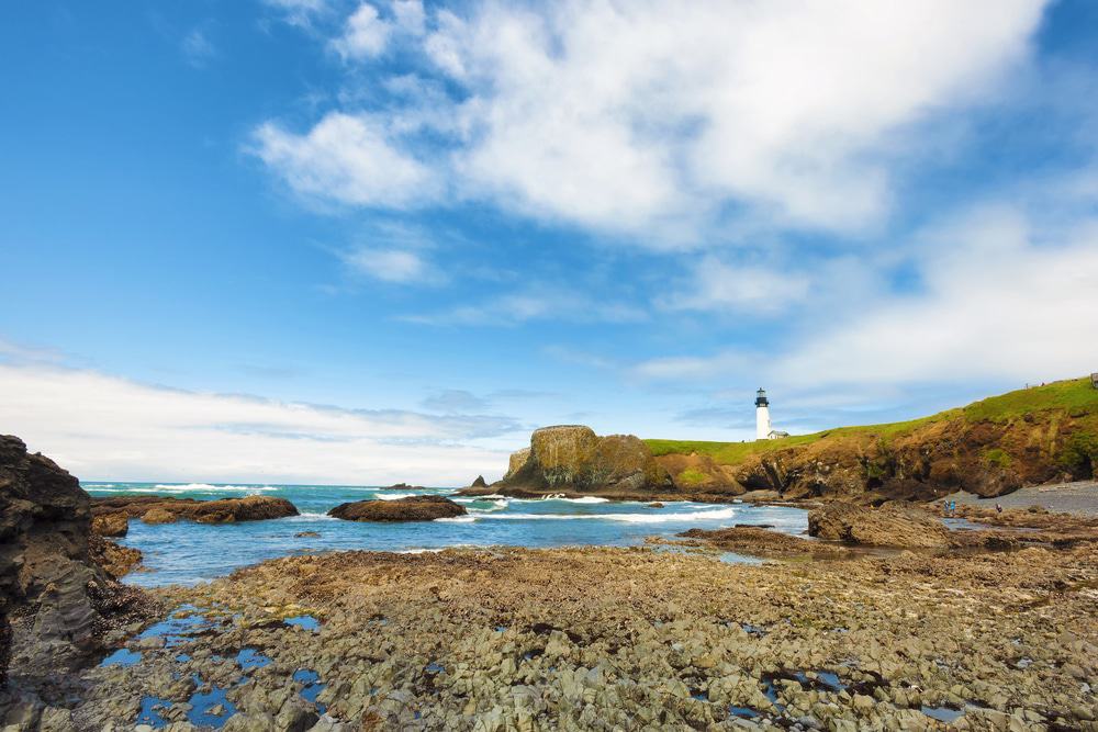 M_C_Gailliot's tweet photo. Take some time out of your next #Oregon trip to visit one of these top-rated beaches. #travel  https://t.co/yd8c3aQG1v https://t.co/9amy7i3xdH