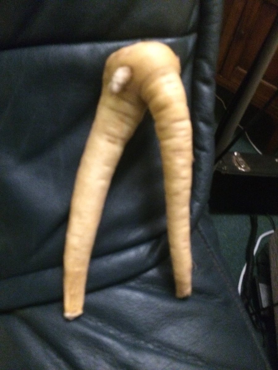 exact_carpentry's tweet photo. Hey @MichelleDewbs great show as usual…On a lighter news note check out my parsnip 😳 I couldn’t believe it when I opened the bag 😆 The image is a bit blurry as the in-laws took it 🙄 https://t.co/b5YlpyyqIt