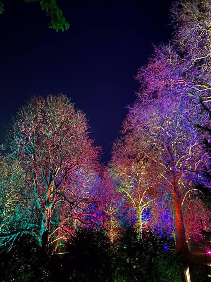 LeeMurphy48's tweet photo. The spectacular lights at Audley End. A real treat ahead of Christmas   Thank you @EHAudleyEnd https://t.co/lGKSjR6iN8