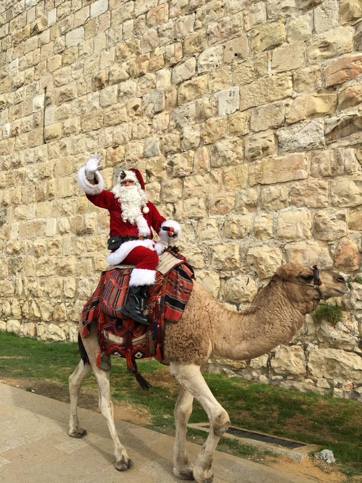فقط في إسرائيل.. بابا نويل يمتطي جملًا  ...