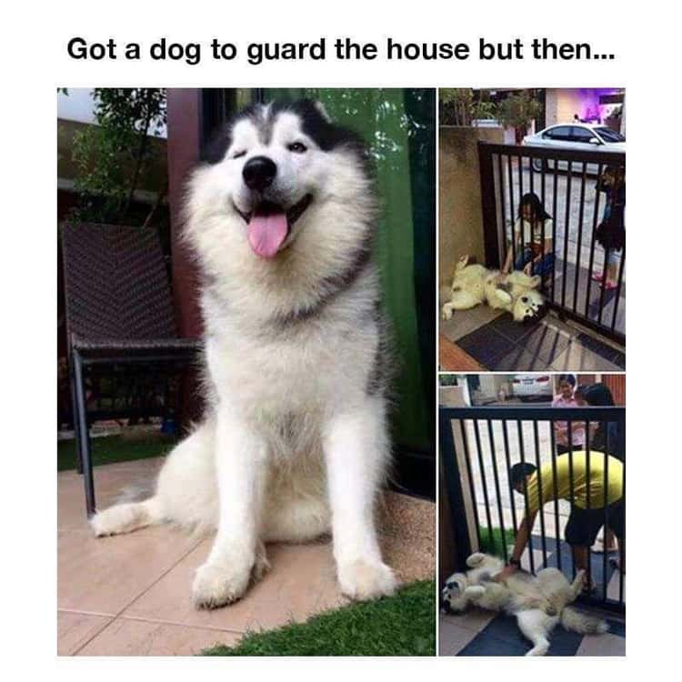 WholesomeMeme's tweet photo. https://t.co/GPRdhKNkZL