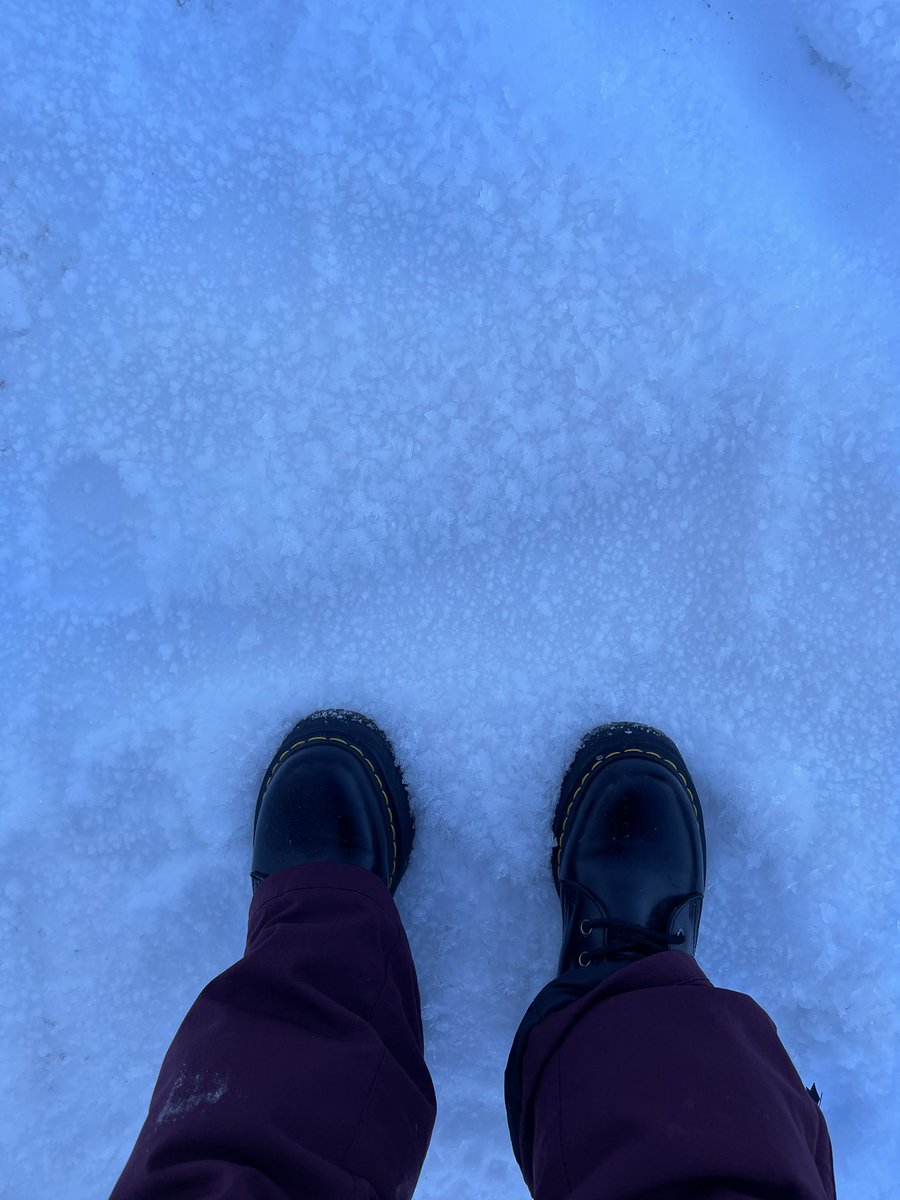 mayalansari's tweet photo. white december https://t.co/f98ofoX7VO