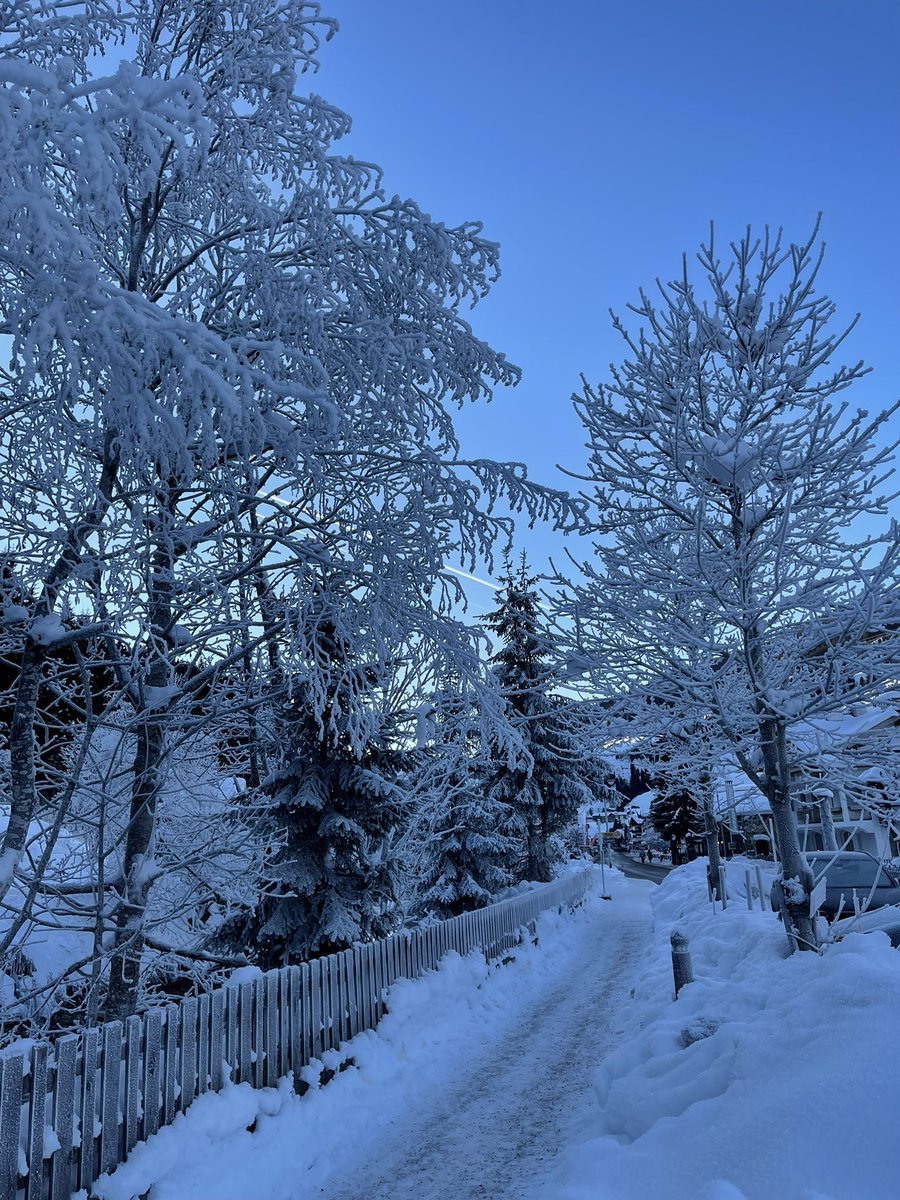 mayalansari's tweet photo. white december https://t.co/f98ofoX7VO