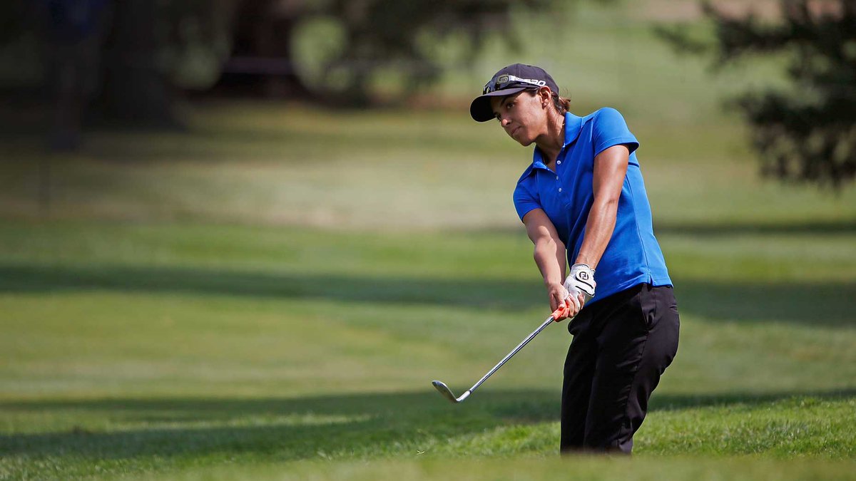 Phillips Park Golf Course tweet media