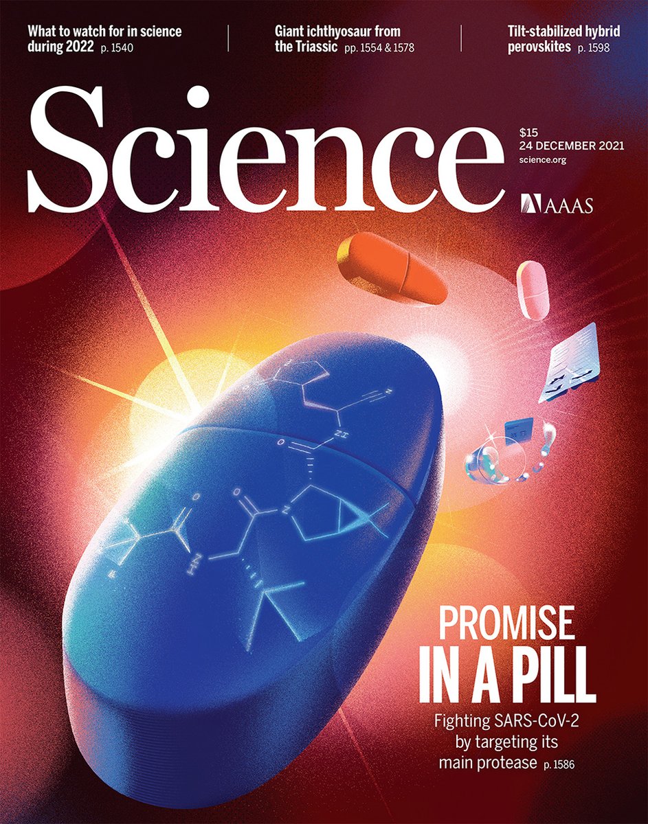 ScienceMagazine's tweet photo. Researchers have developed a drug to target #SARSCoV2. The molecule, known as PF-07321332, can be delivered in pill form, which may lead to a #COVID19 treatment that can be used outside of a hospital setting.

Learn more in our last issue of 2021 ➡ https://t.co/FlSZLnzh6r https://t.co/JXPVYWXflU