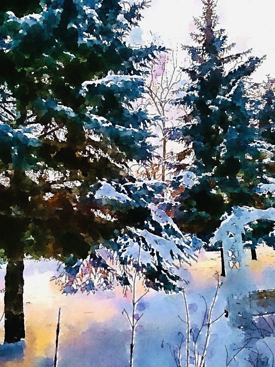 NickFed5's tweet image. #покаещёдекабрь #ёлочки #сосенки #Рождественскиезарисовки #Christmassketches #Christmasabstractions #MerryChristmas #nature #naturephotography #вотизима #снег #зима #зимушказима