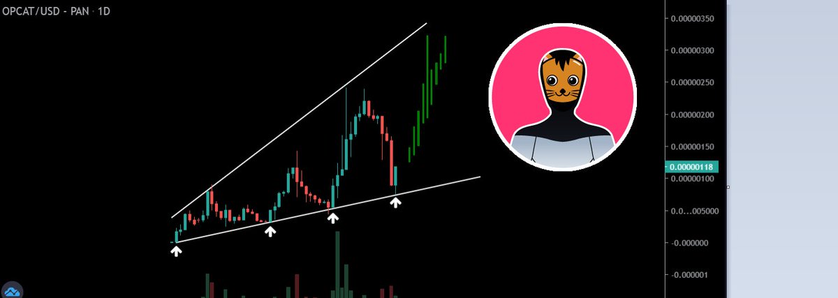 GemMinerXBT's tweet image. You rarely see an ascending broadening wedge pattern as good as $opcat 📈

Don't fall for the paperhands, but I guess for me it's easy to say. I know a little more than them... 🥸

This is where you want to grab a bag ;)

#shinja #saitama #safemoon $kiba $floki $mcc $spell