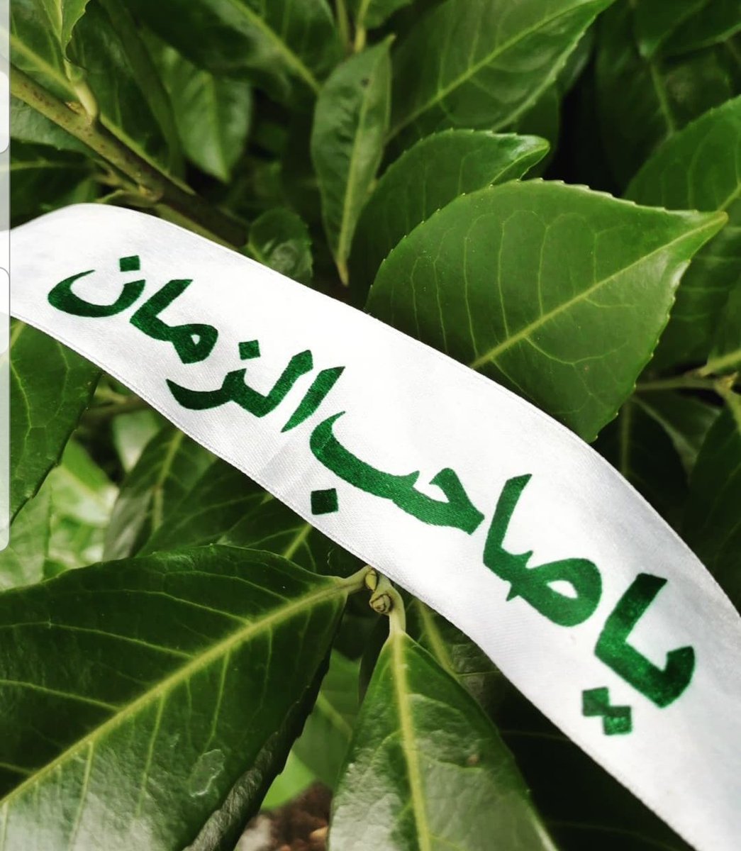 basmaAhmd515's tweet photo. اللهم كن لوليك الحجة ابن الحسن
صلواتك عليه وعلى ابائه في هذه
الساعة وفي كل ساعة وليا وحافظا
وقائدا وناصرا ودليلا وعينا حتى 
تسكنه ارضك طوعا وتمتعه فيها
طويلا برحمتك ياارحم الراحمين .
اللهم صل على محمد وال محمد
وعجل فرجهم 💐🌹💐 https://t.co/FG7J5PFVp9