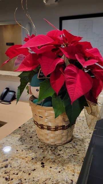 Blacklidge's tweet photo. You've heard of Elf on the Shelf, but have you heard of his cousin, UltraElf? This little guy paid us a visit this month, showing up in some surprising places! Since it's almost Christmas Eve, UltraElf is off to the North Pole but we're sure he'll be back next year. ⛄️ https://t.co/uAUrSkSaDy