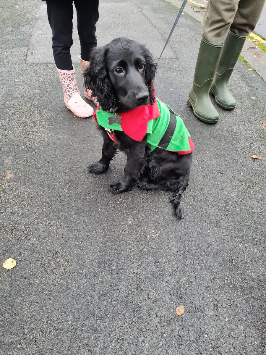 lbubb27's tweet image. 💚🎅🎄⭐⛄❤