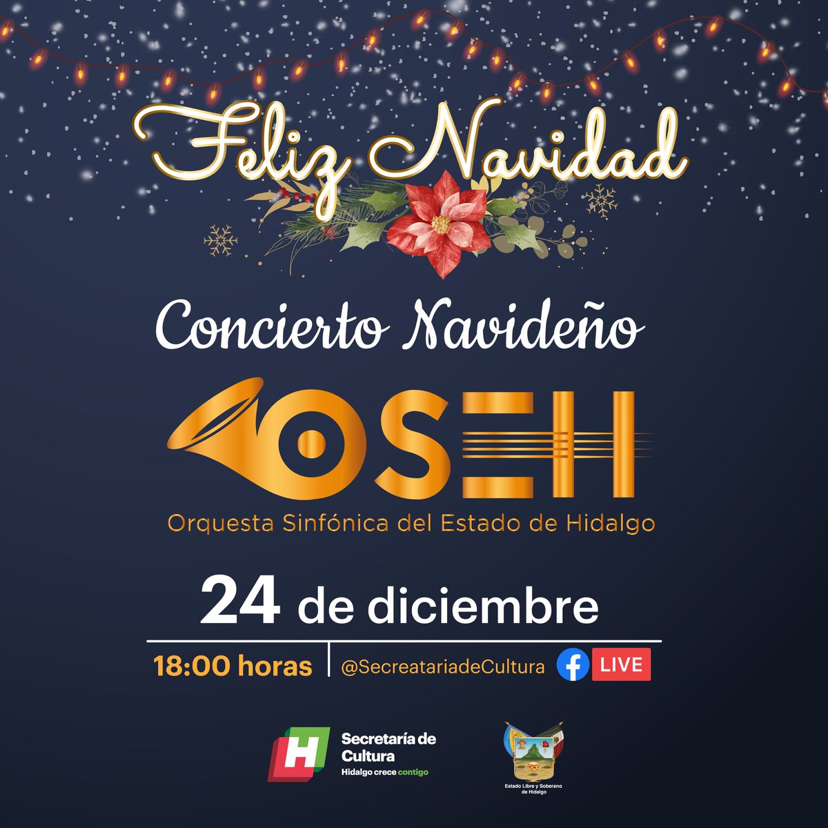MartinC76816234's tweet image. 🎄🎁🪅  🎻🎺🎼. ¡No te lo pierdas! #NavidadHidalgo