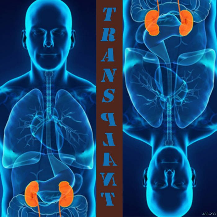 TheABRecords's tweet photo. Who needs some rock and roll? 

TRANSPLANT by @tenderhooks4u! The quintessential virtual stocking filler!

👇👇👇

https://t.co/pFhOEHtoEL

#hooksonhooks 🎸🎸🎸 https://t.co/84DfN4Y5Kl