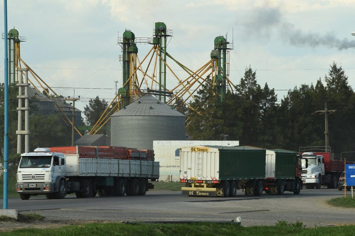 BolsaRosario's tweet photo. 📲Muvin avanza y digitaliza la logística del Agro

Más de 23 mil transportistas, 25 millones de Tn y 32 clientes activos de diferentes eslabones de la cadena están digitalizando la logística agroindustrial.

👉Más información en: https://t.co/WMasmpbFAm https://t.co/6kv8iyIRsS