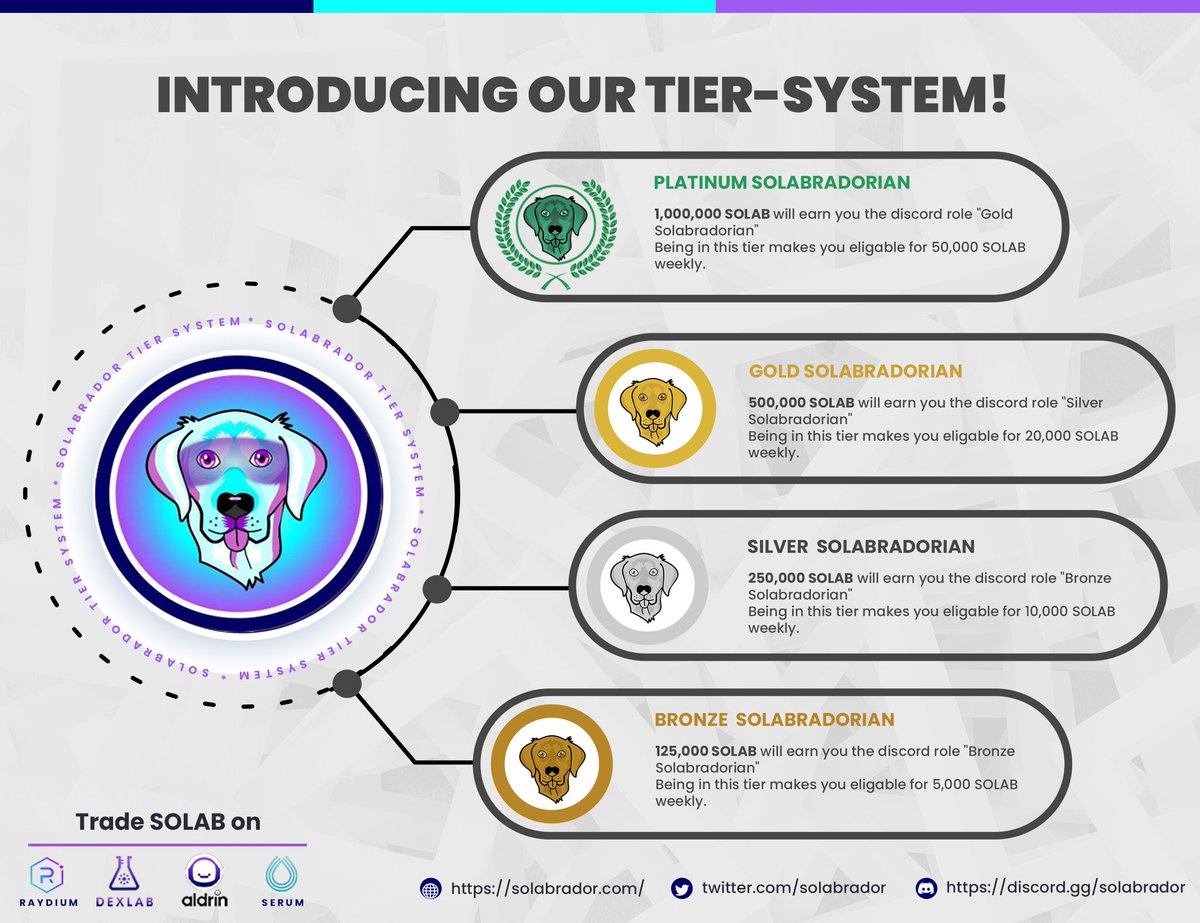 dagee___'s tweet photo. Lets buy and hold $SOLAB

#SOLAB #Solabrador @Solabrador #Solana #solanawinter #SolanaCommunity #SOL #memecoins #memecoin https://t.co/j1AcmeBLZj