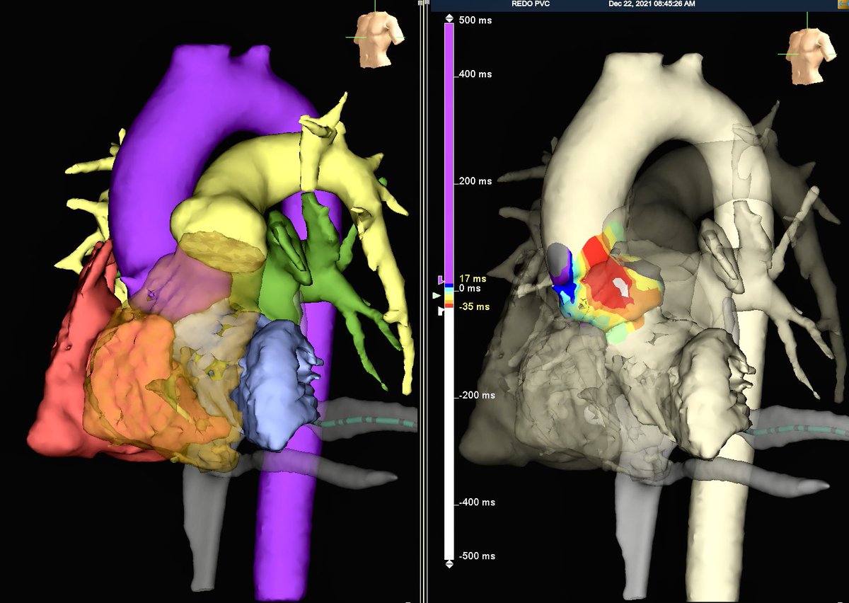 Sarah Peter tweet media
