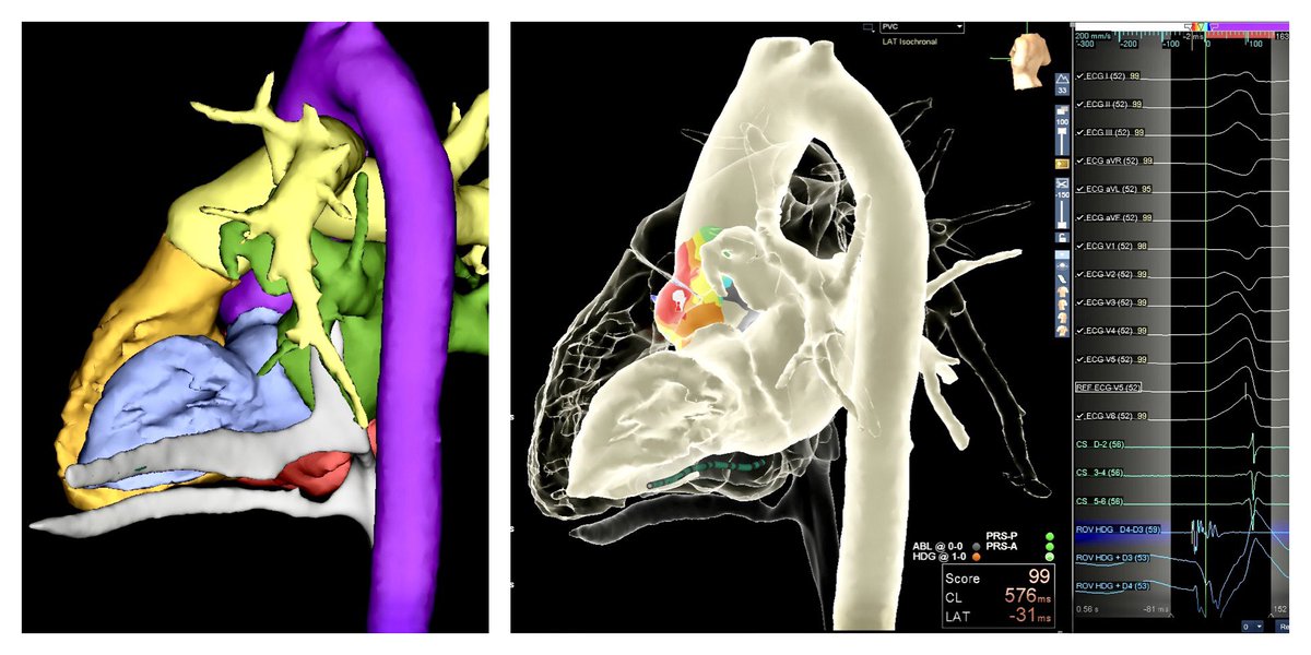 Sarah Peter tweet media