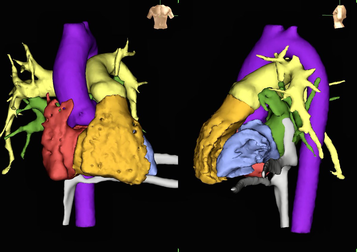 Sarah Peter tweet media