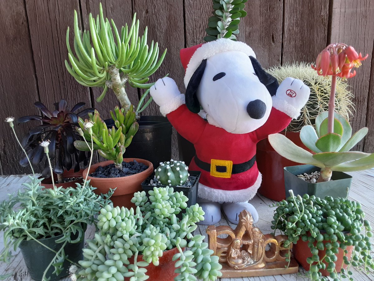 Happy Holidays from JMDC's Granite Hill Nursery!

Many Discoveries
JMDC Staff
#HowDoYouDiscover #JMDCmanyDiscoveries #JMDCGraniteHillNursery