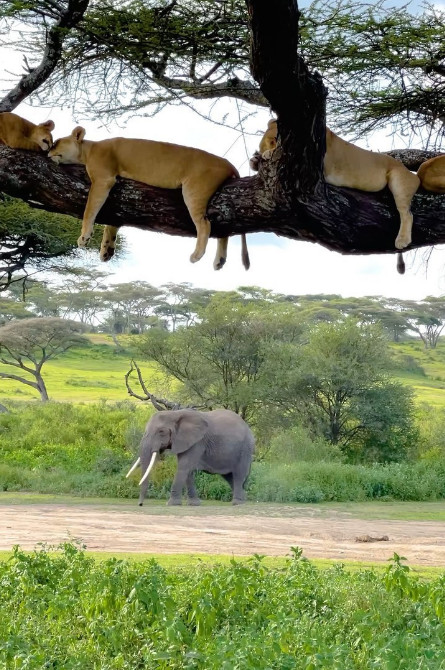 maksim (@maksim92306025) on Twitter photo 