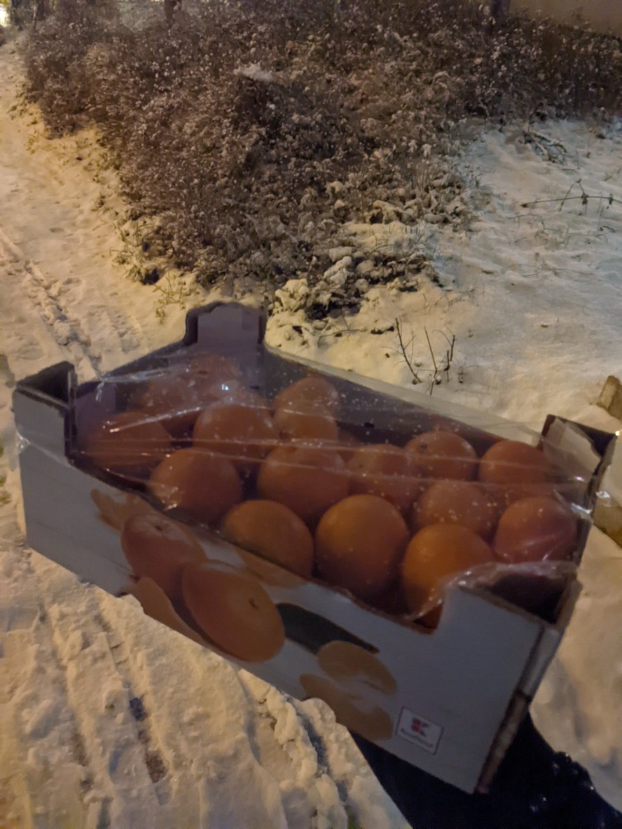 vanillacoder's tweet image. Настроение: в лесу идёт снег, а я с мандаринами иду