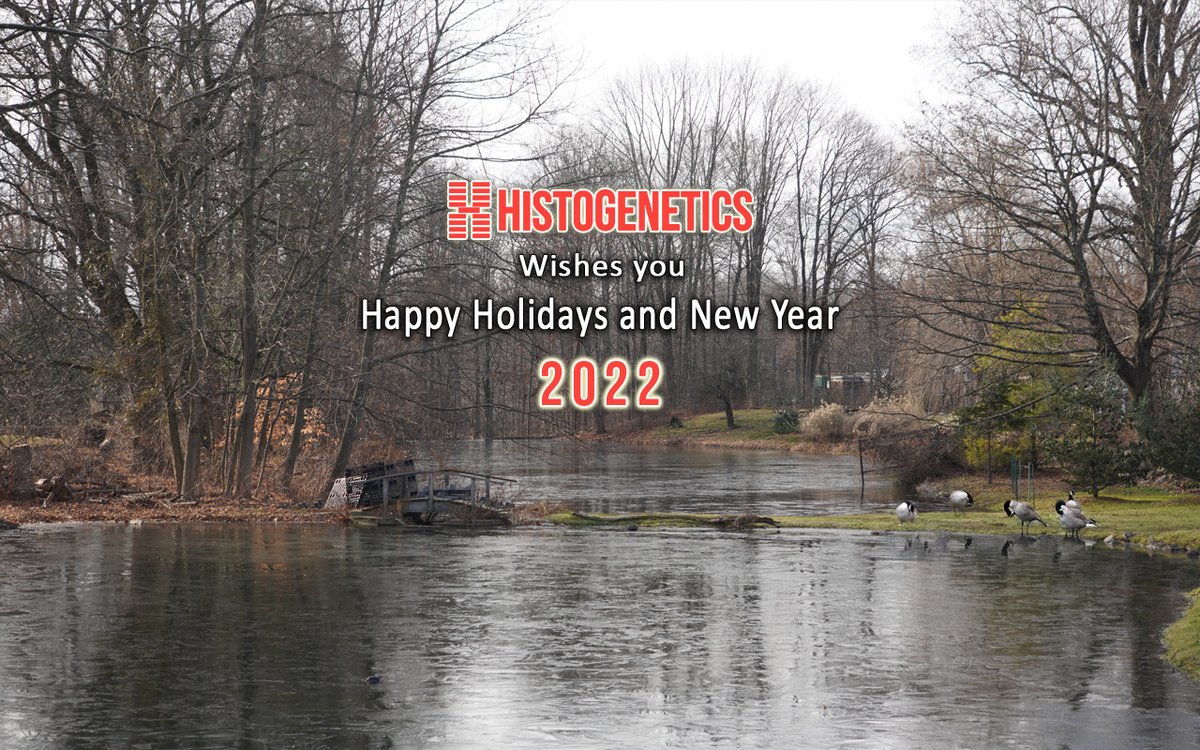 Happy Holidays and Happy New Year from HistoGenetics! 🎄🎅🧬