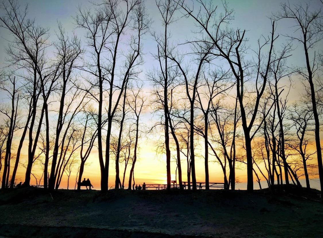 ThisIsErie's tweet photo. Sunset above
Sand below
Peace within
📸: exp_naturelove on IG
#ThisIsErie
#Erie
#EriePA https://t.co/4D7o6DapTE