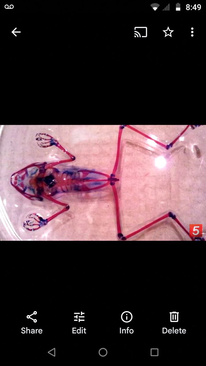 TheHyi's tweet photo. @Jamend0la @UnspeakableGame Yes way Clear Froggy https://t.co/3uBvNfyAH0