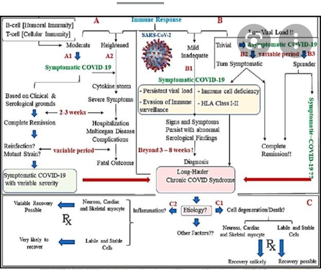 AMannanBaig's tweet image. Underlying immune regulatory players in Long-COVID...A very likely possibility with Omicron....