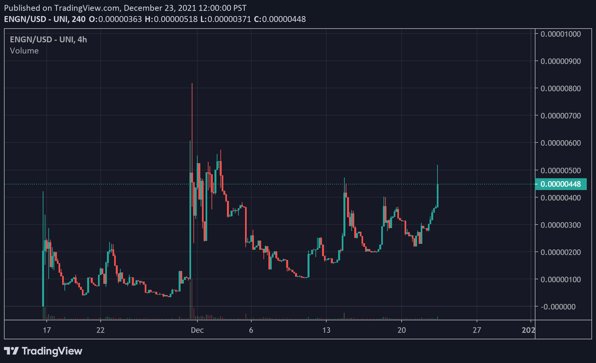 dolan the degen tweet media