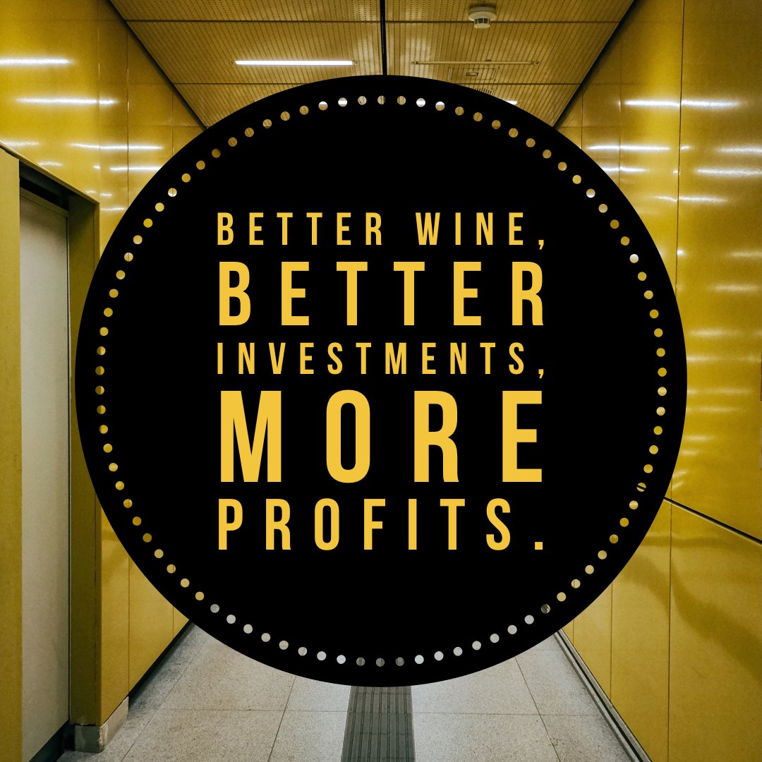 LiquidVineyard's tweet photo. Great wine for great people! Experience the feeling of owning your own vines from across the world 🌎

Check out Liquid Vineyards today 👇https://t.co/RKyx1SXUGS

#wines #wine #winelover #winelovers #winetime #vino  #winery #winelife #redwine #blockchain #NFT #algo https://t.co/8hyBq9rhEt