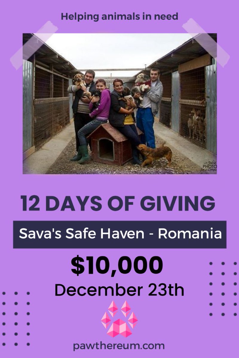 OkamiCrypto06's tweet photo. #pawthereum is not just a token ...
Pawthereum is the heart of helpless animals, so support it so that it is always beating🐕

🌐https://t.co/Vw5BgOVz3y

#DOGE #BTC #BNB #pawh #RBXS https://t.co/xGRz8WtlSZ