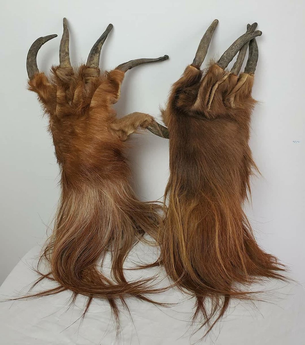 An amazing pair of homemade vintage Krampus gloves, which were used for over 70 years at an annual Krampus Festival in a small town in Austria.
⁣
Made from goat hair, antlers, and the bitter regrets of naughty children. ⁣
